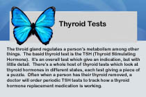 Thyroid